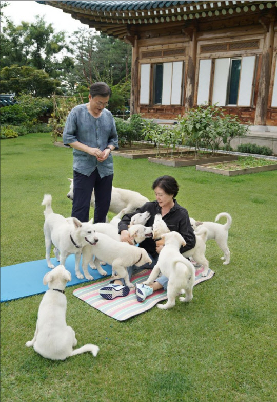 <문재인 전 대통령 SNS>